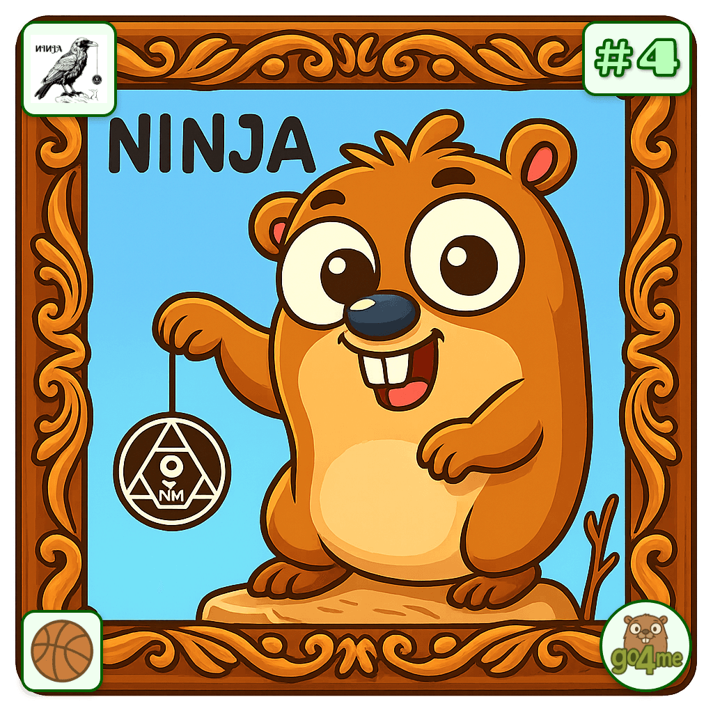 ninja__crow avatar
